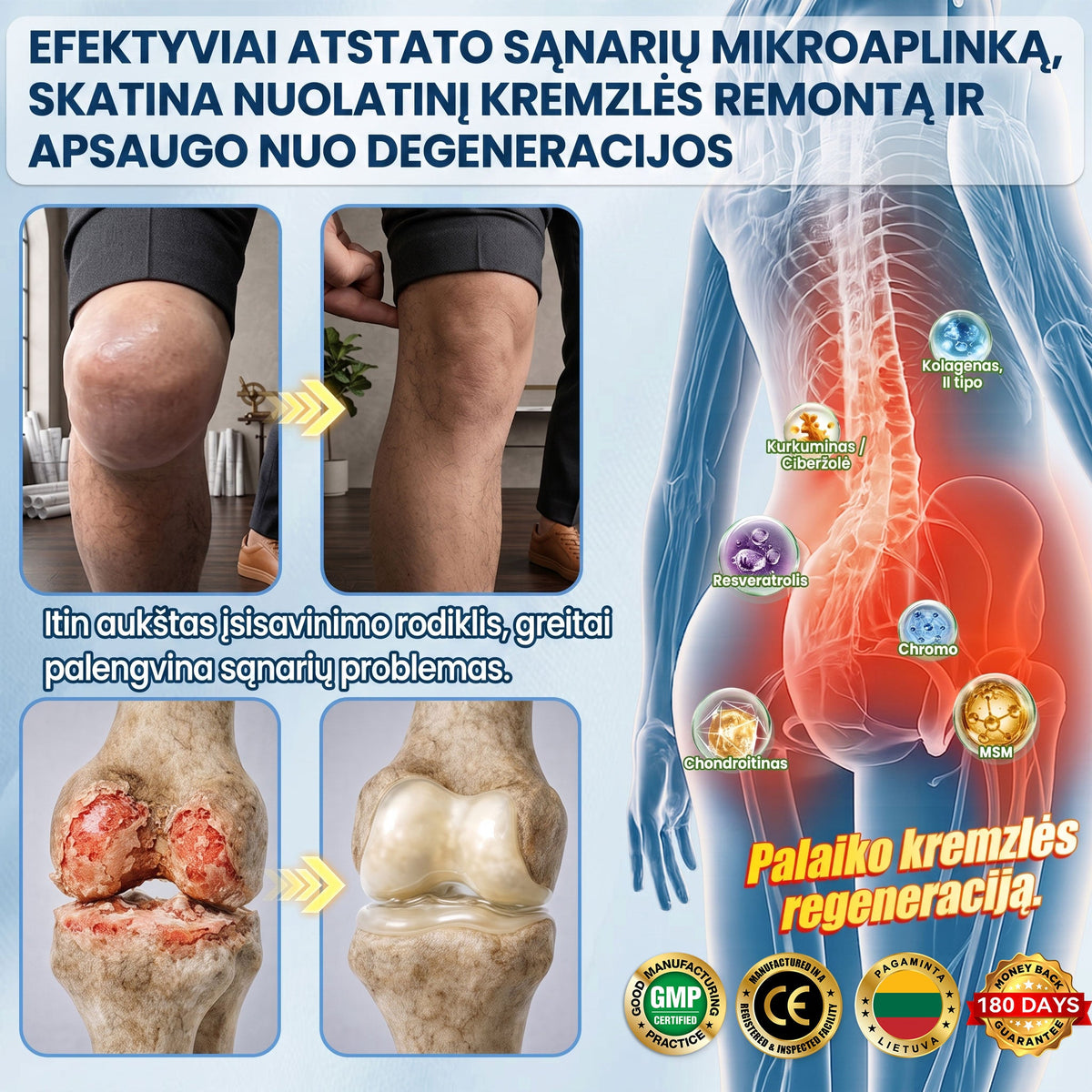 𝐀𝗠𝒁𝑲𝗘𝑬𝙋® 𝐀𝗠𝗣𝑲 𝐌𝗼𝗿𝗶𝗻𝗴𝗮 𝐁𝗲𝗿𝗯𝗲𝗿𝗶𝗻𝗲 𝟏𝟎-𝗶𝗻-𝟏 𝐌𝗲𝘁𝗮𝗯𝗼𝗹𝗶𝗰 𝐒𝘂𝗽𝗽𝗼𝗿𝘁 – 𝟏𝟎 𝘃𝗶𝗲𝗻𝗮𝗺𝗲 𝗺𝗲𝗱ž𝗶𝗮𝗴ų 𝗮𝗽𝘆𝗸𝗮𝗶𝘁𝗼𝘀, 𝗲𝗻𝗲𝗿𝗴𝗶𝗷𝗼𝘀, 𝗺𝗶𝗲𝗴𝗼, 𝘀ą𝗻𝗮𝗿𝗶ų 𝗶𝗿 𝗯𝗲𝗻𝗱𝗿𝗼𝘀 𝘀𝗮𝘃𝗶𝗷𝗮𝘂𝘁𝗼𝘀 𝗽𝗮𝗹𝗮𝗶𝗸𝘆𝗺𝗮𝘀